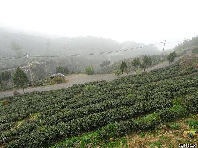 親子旅遊-竹山鹿谷體驗行