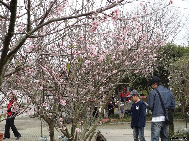 親子旅遊-烏日漫遊