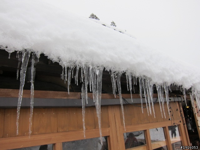 はとバス之旅：飛騨高山/白川郷/五箇山/能生