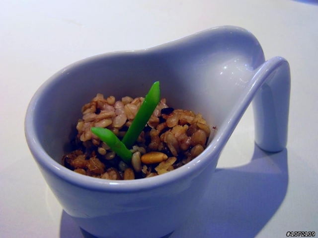 [食記]舒果 新米蘭蔬食