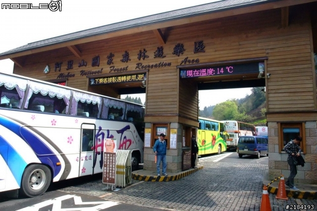 2013 THE ALL-NEW FOCUS 24小時免費開回家-阿里山一日遊