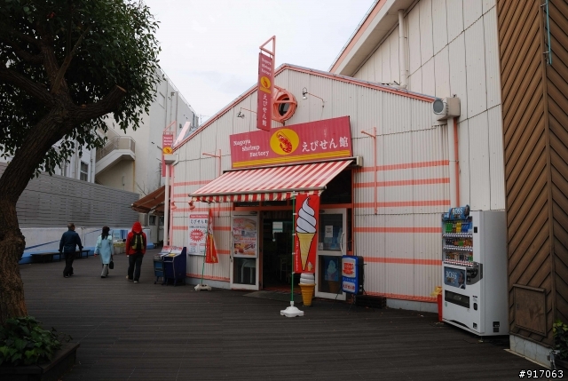 [冬之名古屋自助行]-Part.2-名古屋水族館看海豚表演/企鵝走路