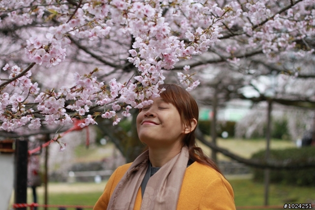 [單車拖車的無限可能]  2013 Bike·桜·京都  (2nd Day)