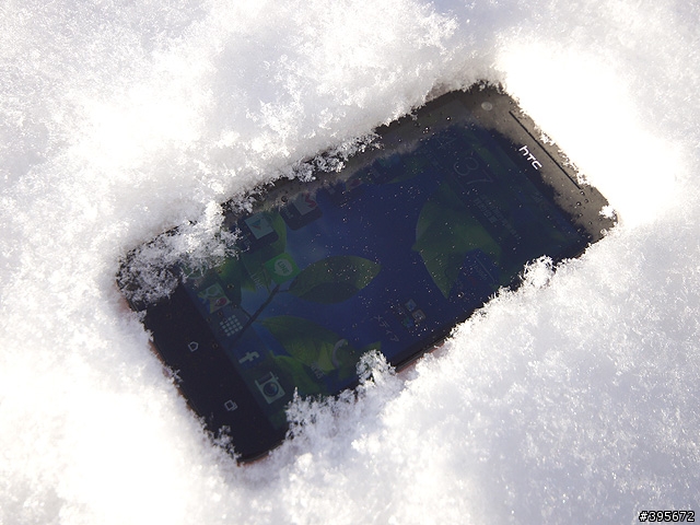 [搏版面] 踏上敵國領土的雪中紅...蝴蝶~