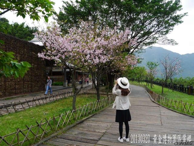20130320   九份金瓜石茶壺山半平山之旅