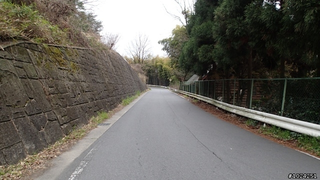 [單車拖車的無限可能]  2013 Bike·桜·京都  (2nd Day)