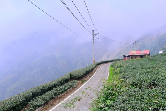 分享Q5與我的旅行..