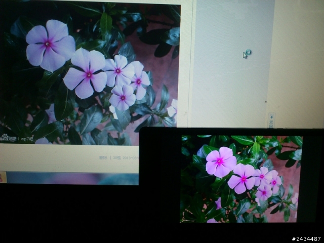 照片在XPERIA  Z上看和電腦上看差很大啊。