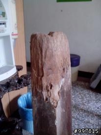 如何修護被遺忘的桌椅---70年以上檜木桌椅