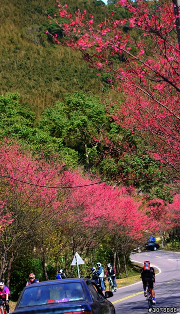 【活動照片分享】2013/02/02 東眼山照片