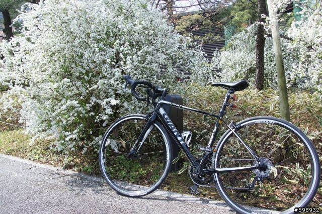 2013 DEFY 3 開箱 + 賞櫻花 + 台場彩虹大橋 一日遊