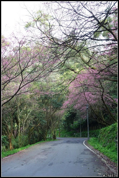 2013.03.01【單車遊記】汐止大尖山‧賞櫻之旅