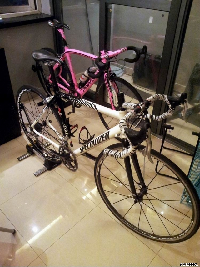 Cipollini 斑馬套裝和戰車