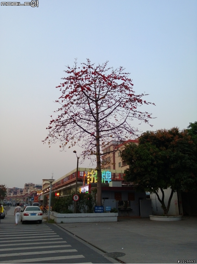 Nokia lumia 920隨手照(多圖)
