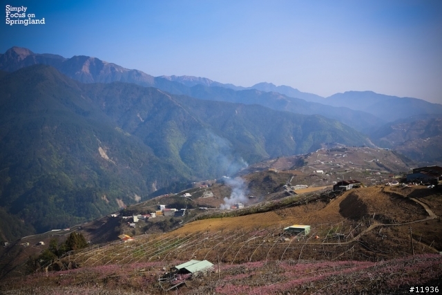 [試駕文]THE ALL-NEW FOCUS-純粹的春天山道旅遊(宜蘭.梨山.花蓮)..圖多文少