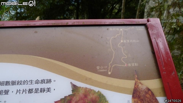 瘋狂舉指 狂樂遊 NO2 司馬限林道 消失的白色聖稜線