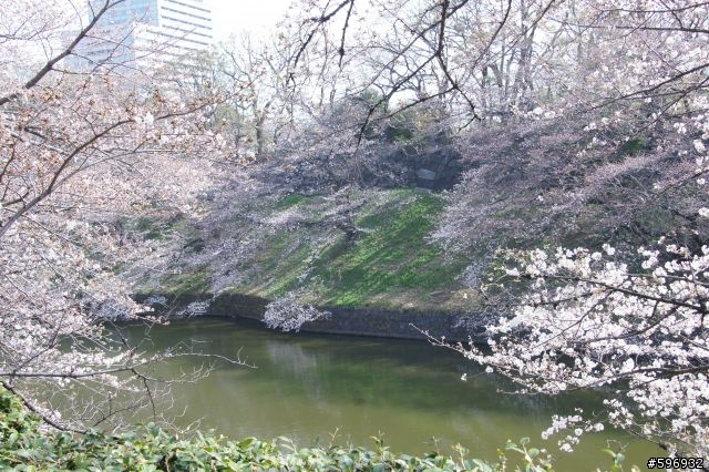2013 DEFY 3 開箱 + 賞櫻花 + 台場彩虹大橋 一日遊
