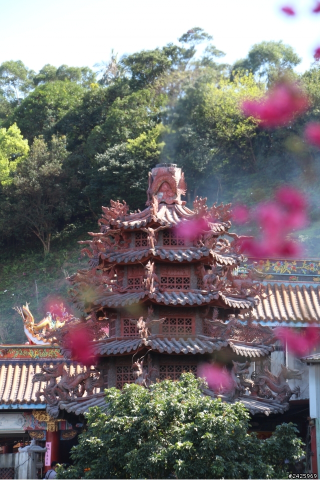 櫻花開的季節