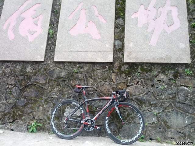 郊遊好朋友 ~ Wilier Zero 7