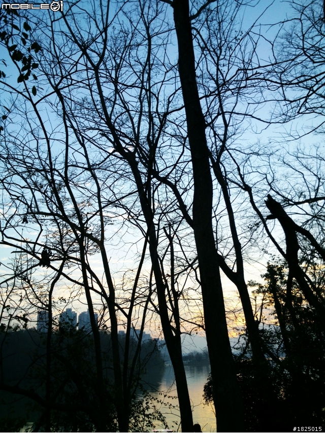 2013/3/10 早安~澄清湖