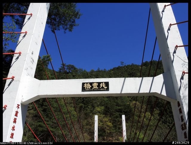 《一種令人上癮的駕馭樂趣》THE ALL-NEW FOCUS 武陵農場賞櫻‧試駕遊記分享