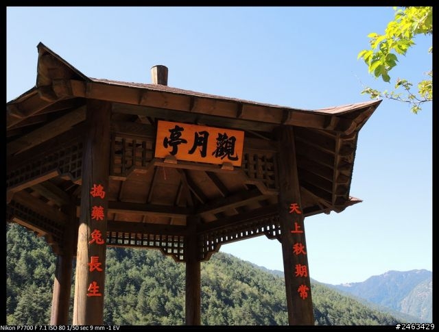 《一種令人上癮的駕馭樂趣》THE ALL-NEW FOCUS 武陵農場賞櫻‧試駕遊記分享