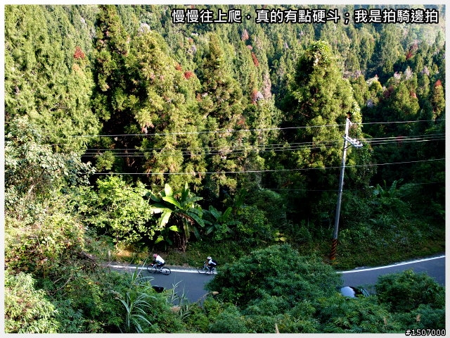 南投2013杉林溪自行車挑戰賽