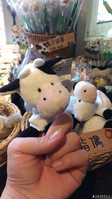 兩個女生我們在環島，八天七夜(第六天)