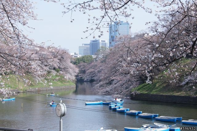 2013 DEFY 3 開箱 + 賞櫻花 + 台場彩虹大橋 一日遊