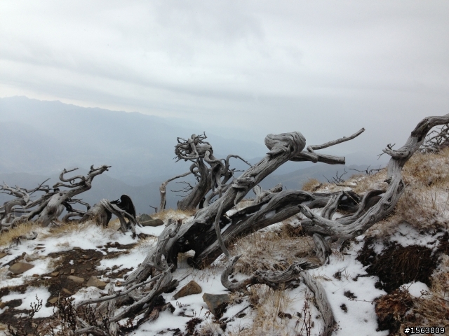 雪山主東峰單日攻