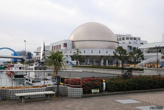 [冬之名古屋自助行]-Part.2-名古屋水族館看海豚表演/企鵝走路