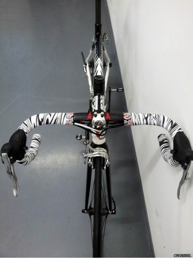 Cipollini 斑馬套裝和戰車