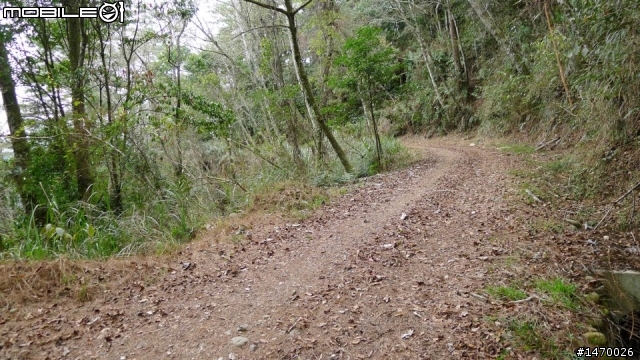 瘋狂舉指 狂樂遊 NO2 司馬限林道 消失的白色聖稜線