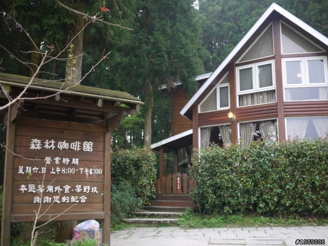 福特FOCUS 24小時試駕-造訪高空中的花園 新竹山上人家