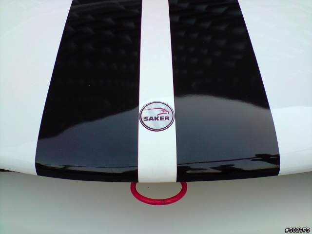 Saker RapX