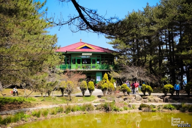[試駕文]THE ALL-NEW FOCUS-純粹的春天山道旅遊(宜蘭.梨山.花蓮)..圖多文少