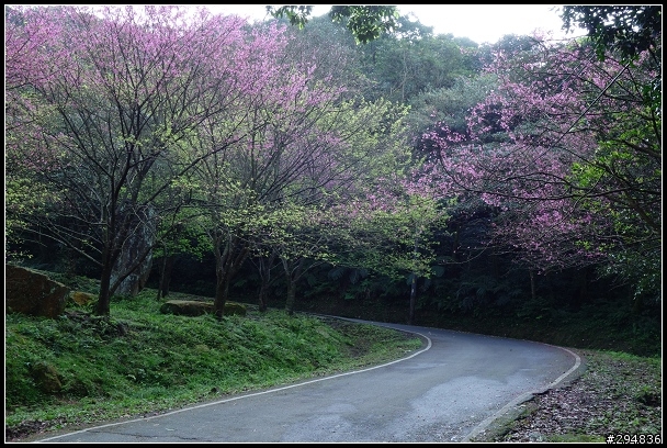 2013.03.01【單車遊記】汐止大尖山‧賞櫻之旅