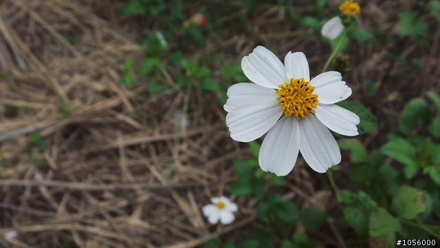 不只是 Camera 的 Galaxy Camera