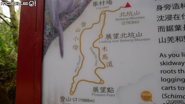 瘋狂舉指 狂樂遊 NO2 司馬限林道 消失的白色聖稜線