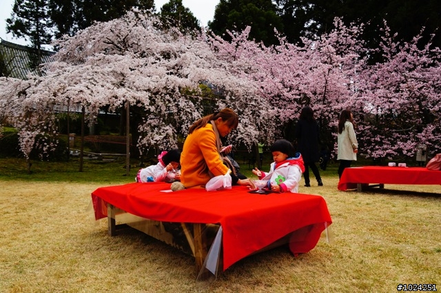 [單車拖車的無限可能]  2013 Bike·桜·京都  (2nd Day)