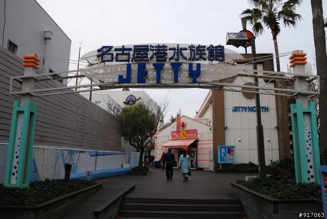 [冬之名古屋自助行]-Part.2-名古屋水族館看海豚表演/企鵝走路