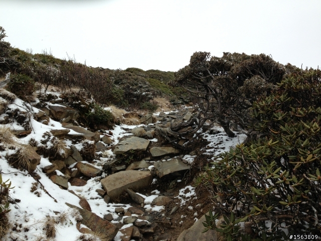 雪山主東峰單日攻