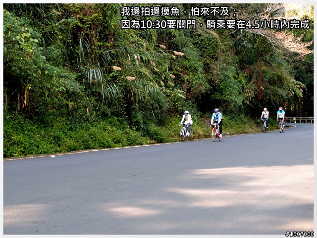 南投2013杉林溪自行車挑戰賽