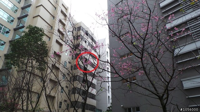 不只是 Camera 的 Galaxy Camera
