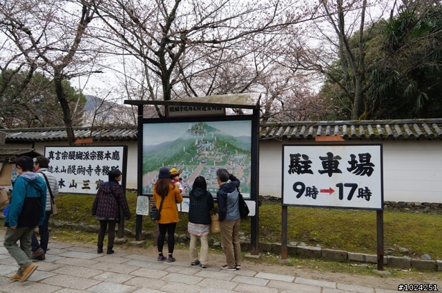 [單車拖車的無限可能]  2013 Bike·桜·京都  (2nd Day)