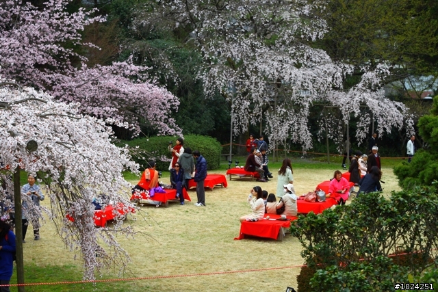 [單車拖車的無限可能]  2013 Bike·桜·京都  (2nd Day)