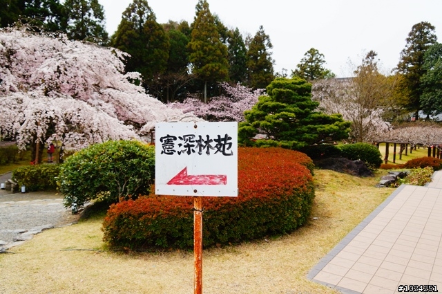 [單車拖車的無限可能]  2013 Bike·桜·京都  (2nd Day)