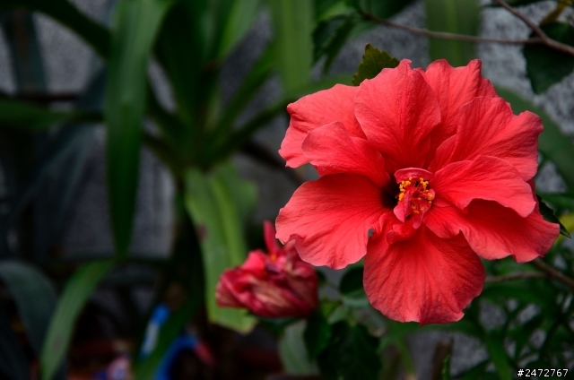 使用NIKON D7000 1個多月 請各位高手幫我評評分 歡迎批評指教！