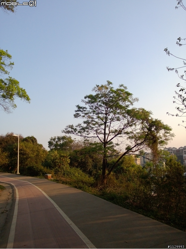 Nokia lumia 920隨手照(多圖)