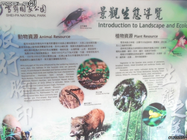 【旅遊圖文】2013.03.30達觀、士林、象鼻、梅園、天狗、雪見山區RV旅